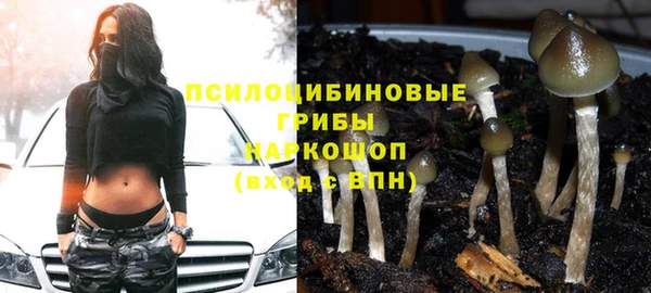 каннабис Абинск