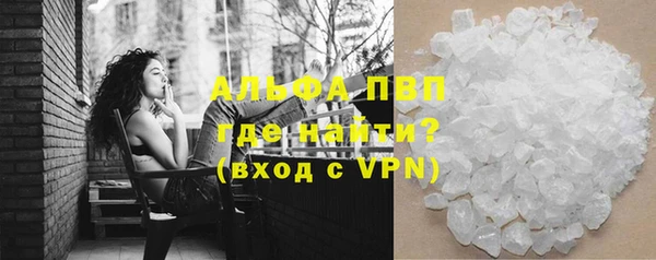 прущие крисы Ельня